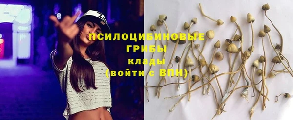 хмурый Армянск
