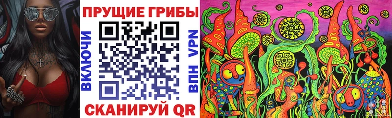 наркота Артёмовский кракен вход Псилоцибиновые грибы мицелий
